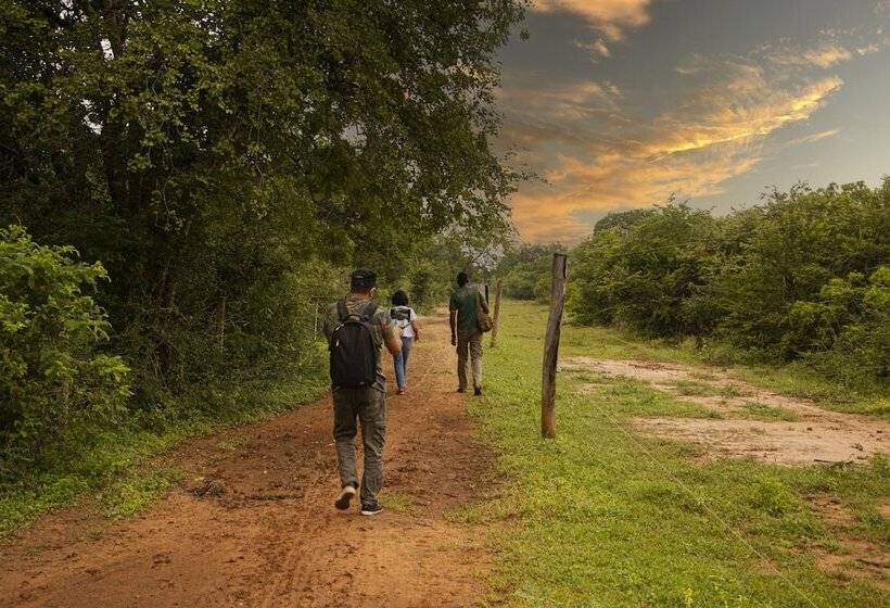 酒店 Big Game Udawalawe By Eco Team