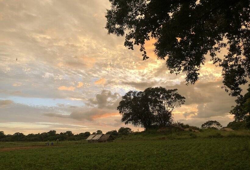 酒店 Big Game Udawalawe By Eco Team