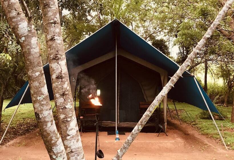 酒店 Big Game Udawalawe By Eco Team