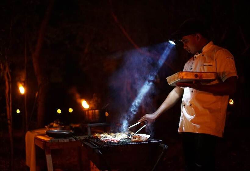 酒店 Big Game Udawalawe By Eco Team