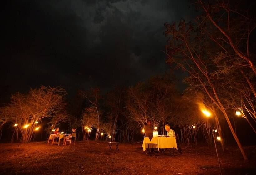 酒店 Big Game Udawalawe By Eco Team