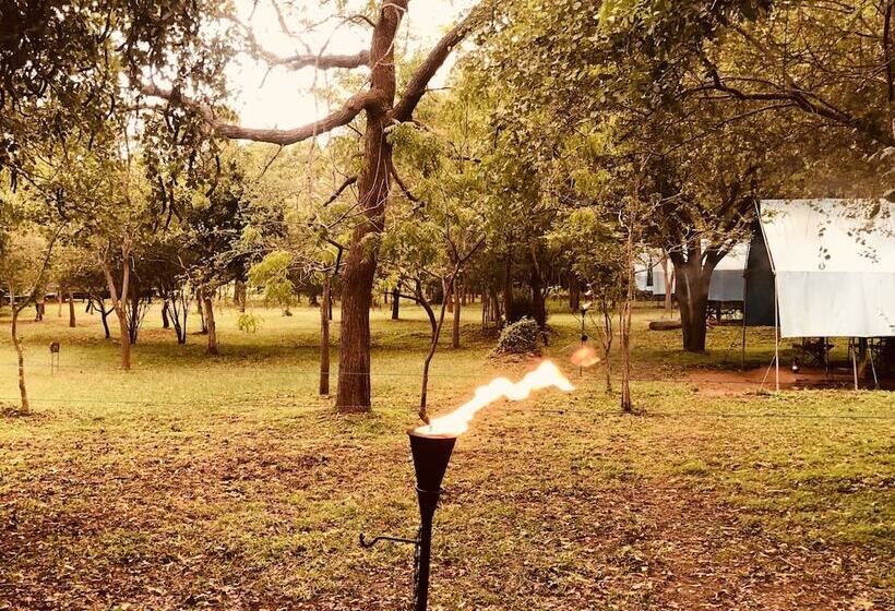 酒店 Big Game Udawalawe By Eco Team