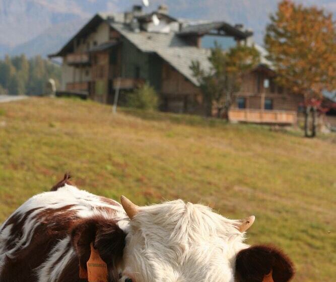 فندق Caprice Des Neiges