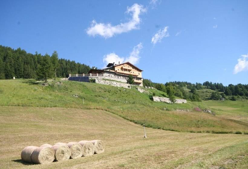 فندق Caprice Des Neiges