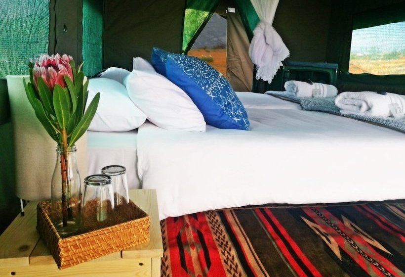 Отель Chiefs Namaqua Flower Camps