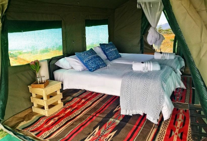 Отель Chiefs Namaqua Flower Camps