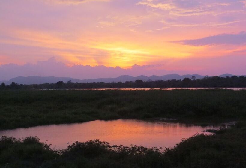 ホテル Explorer By Eco Team   Wasgamuwa National Park