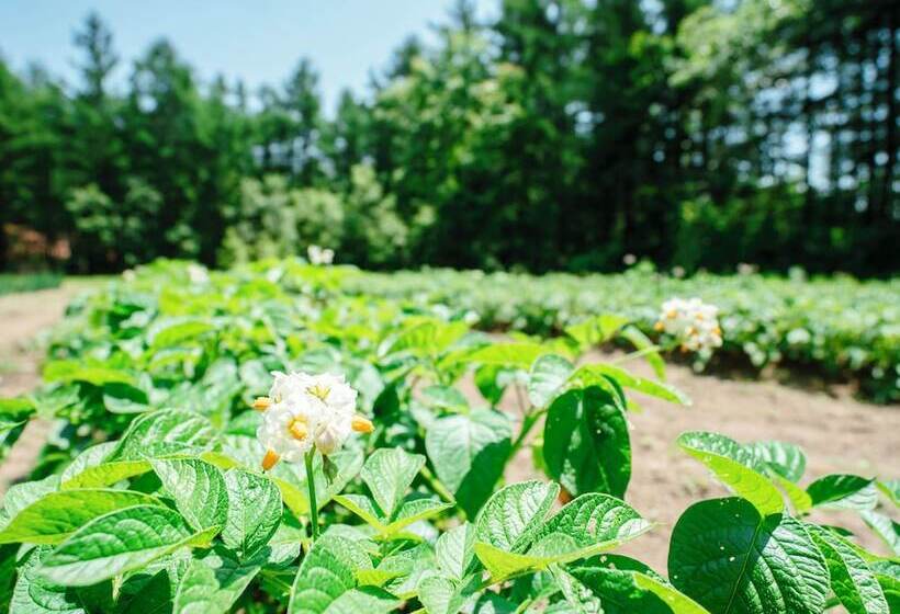 בית מלון כפרי Glamping Resort Feriendorf