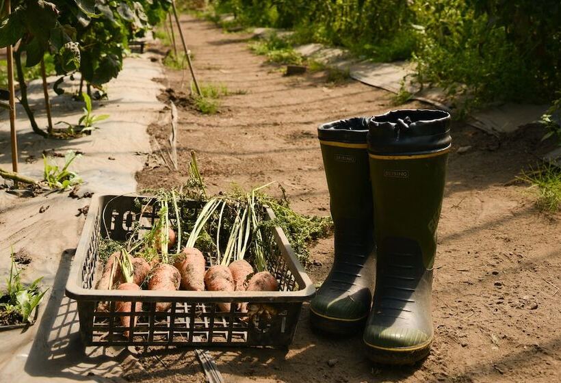 فندق Glamping Resort Feriendorf