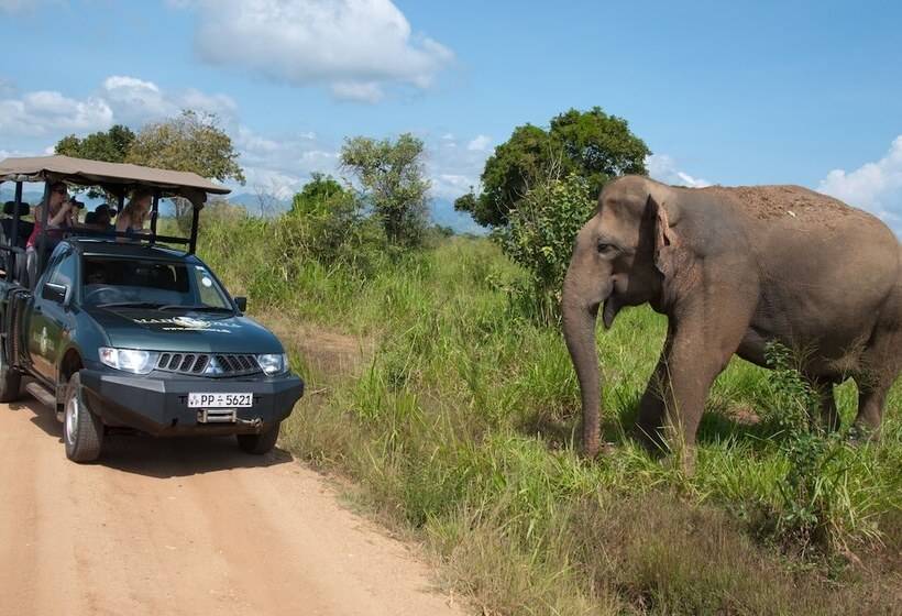 Отель Mahoora   Udawalawe By Eco Team