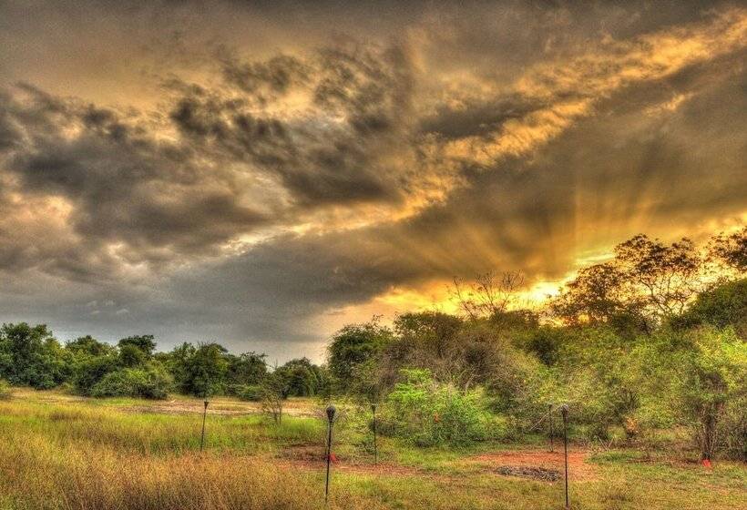 בית מלון כפרי Mahoora   Wilpattu By Eco Team