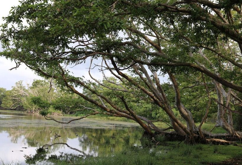 فندق Mahoora   Wilpattu By Eco Team