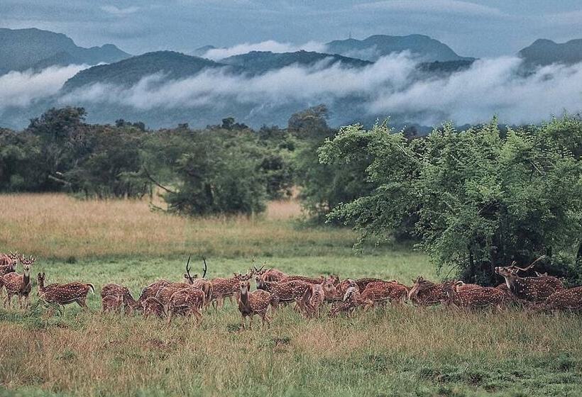 Отель Mapakada Village