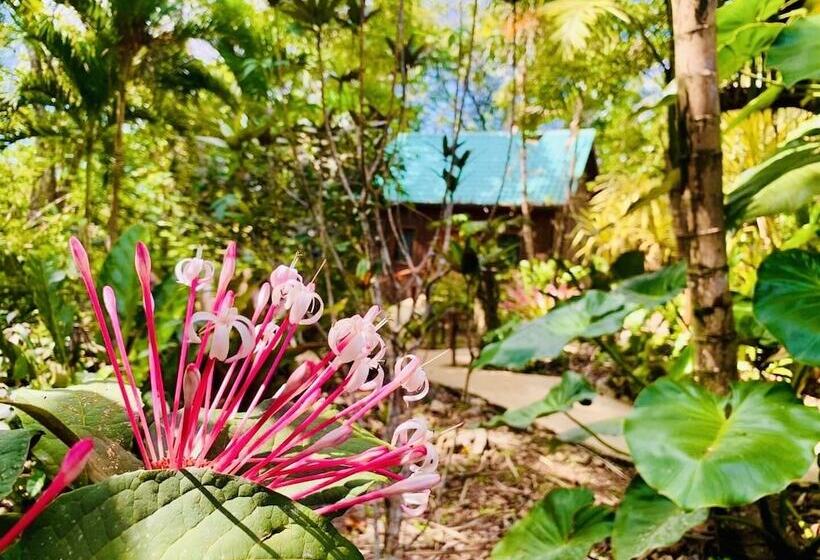 فندق Mariposa Jungle Lodge