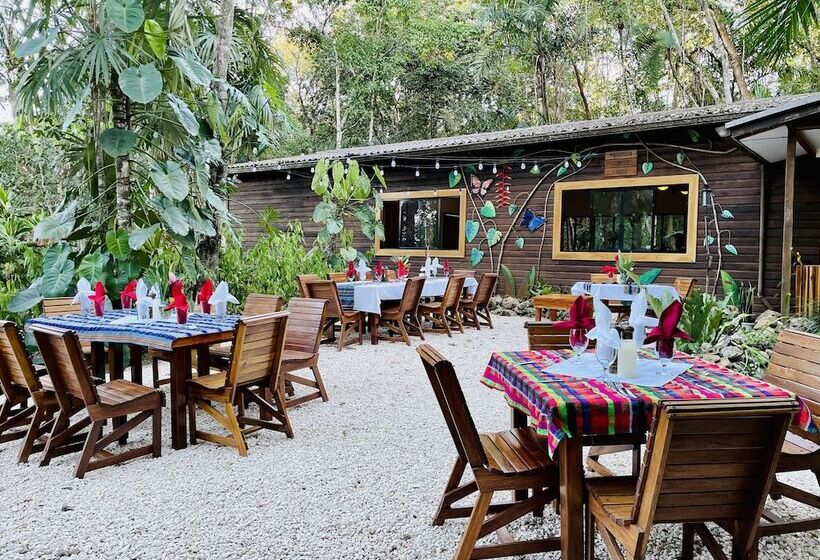 فندق Mariposa Jungle Lodge