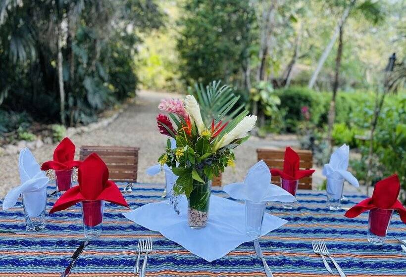 בית מלון כפרי Mariposa Jungle Lodge