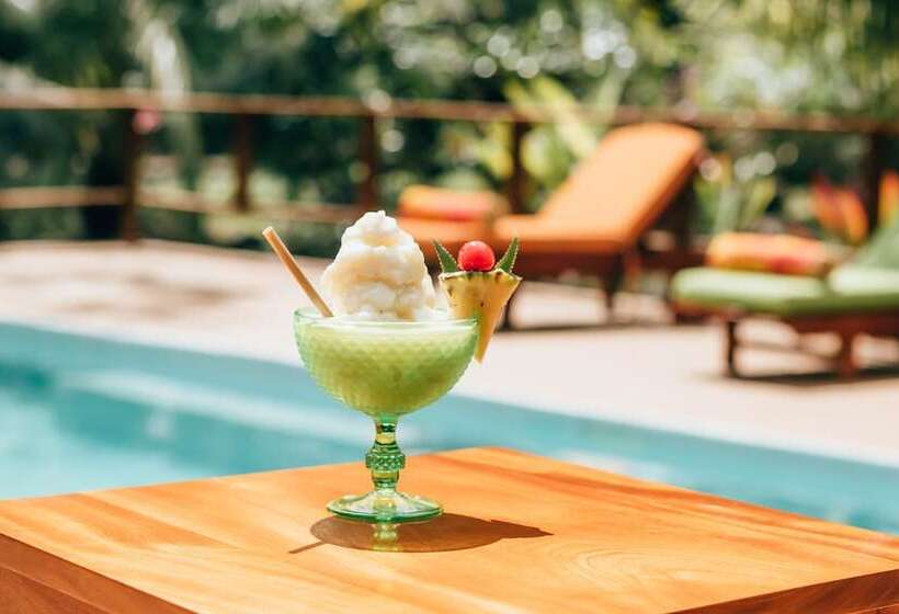 فندق Mariposa Jungle Lodge