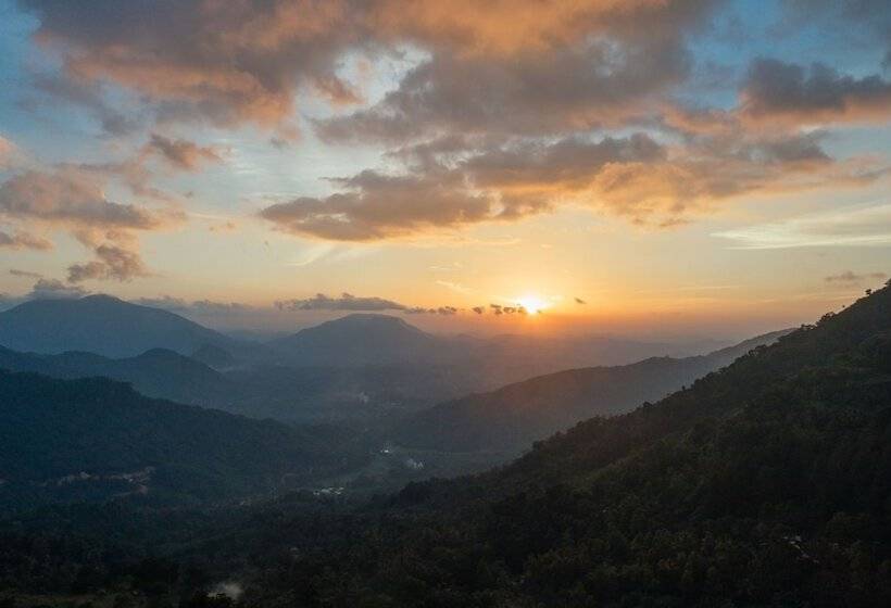 ホテル Mount Havana