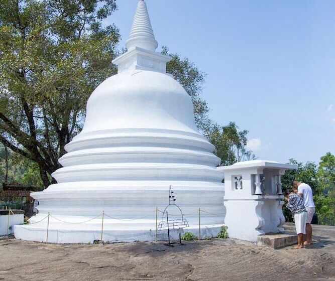 ホテル Mount Havana