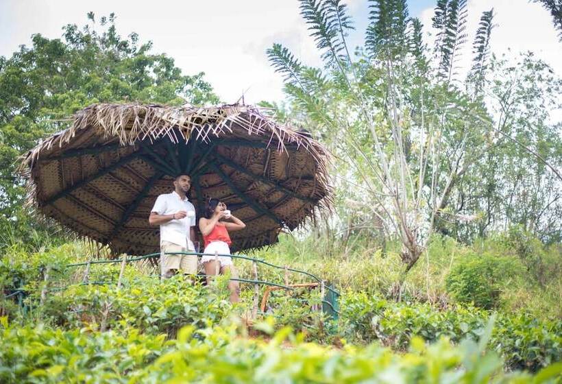 ホテル Mount Havana