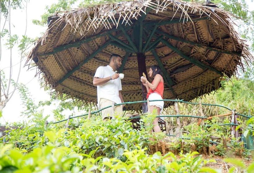 ホテル Mount Havana