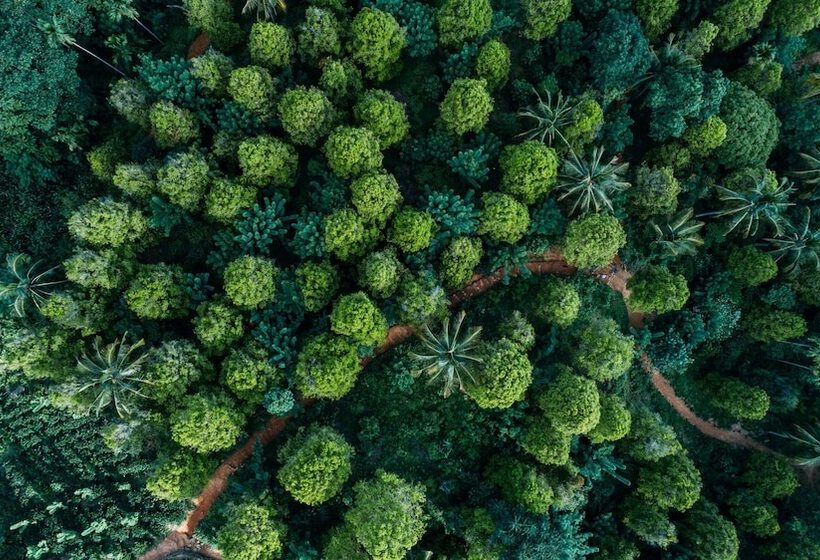 ホテル Mount Havana