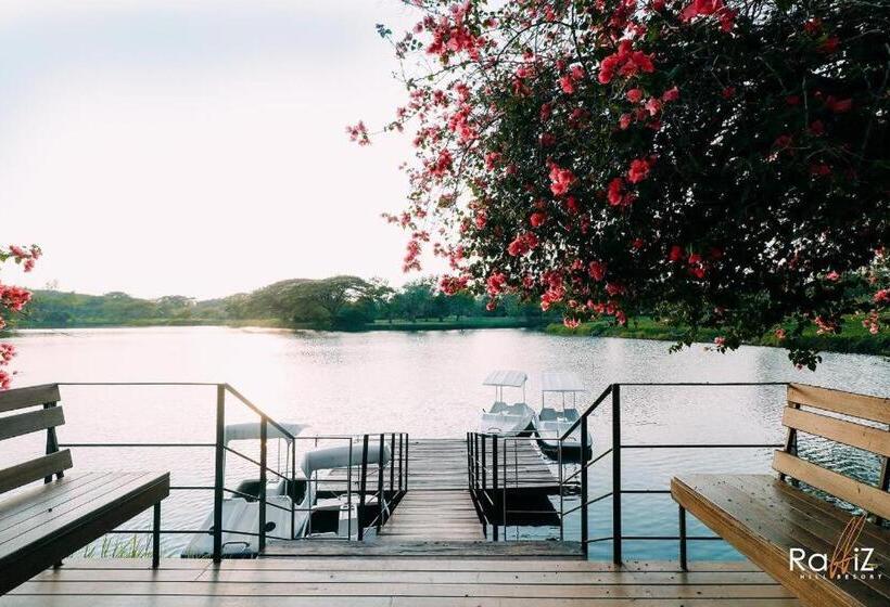 호텔 Rabbiz Hill Resort