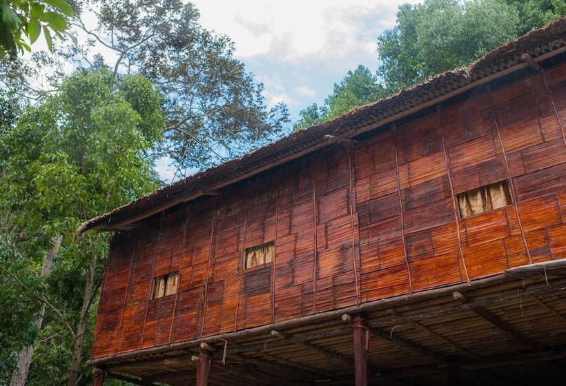 בית מלון כפרי Rain Forest Inn