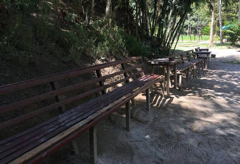 בית מלון כפרי Rain Forest Inn