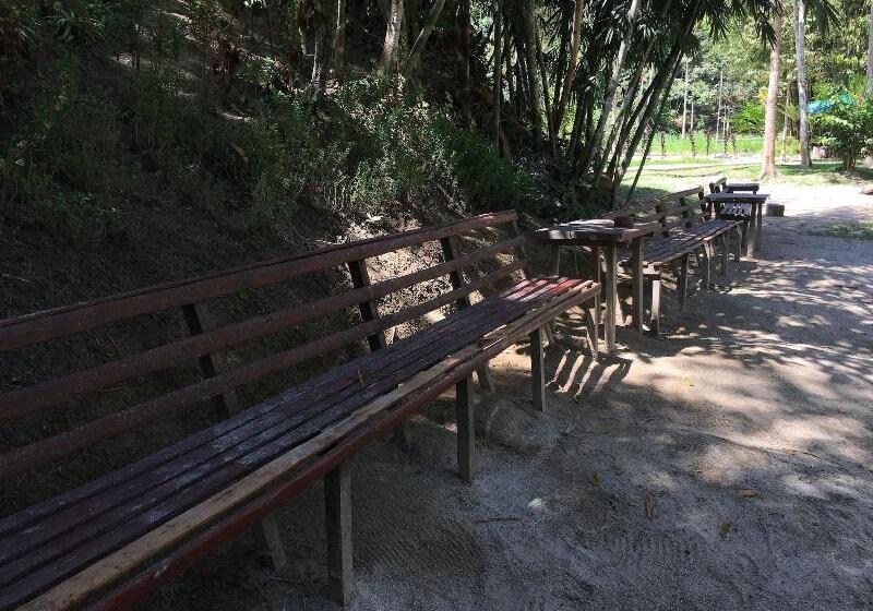 בית מלון כפרי Rain Forest Inn