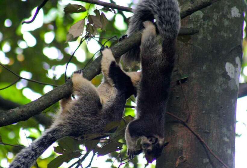 בית מלון כפרי River Garden Resort