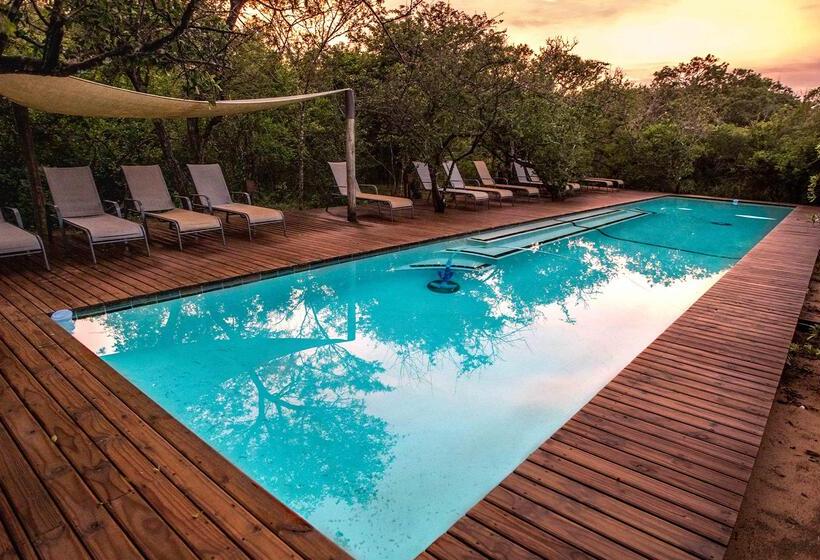 בית מלון כפרי Royal Thonga Safari Lodge