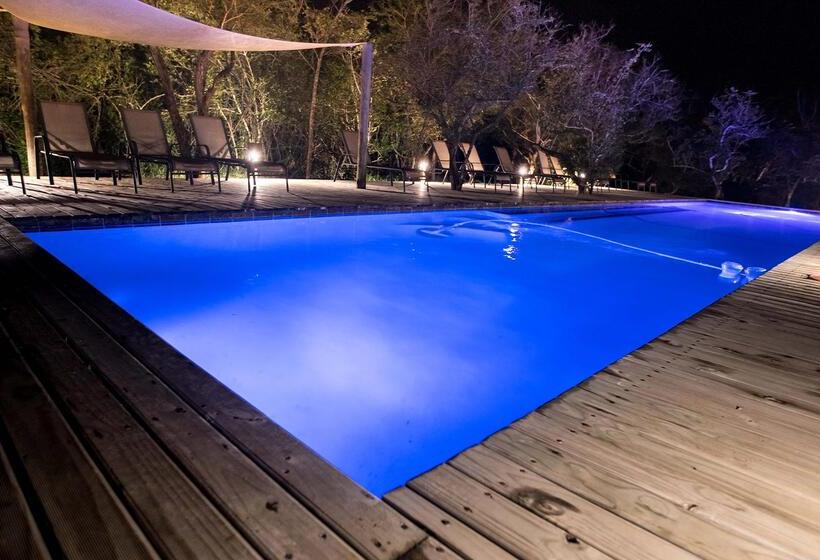 בית מלון כפרי Royal Thonga Safari Lodge