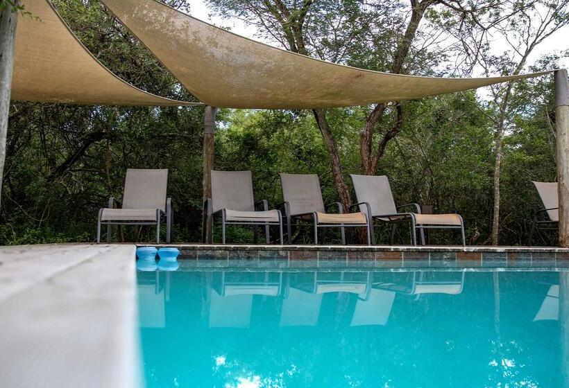 בית מלון כפרי Royal Thonga Safari Lodge