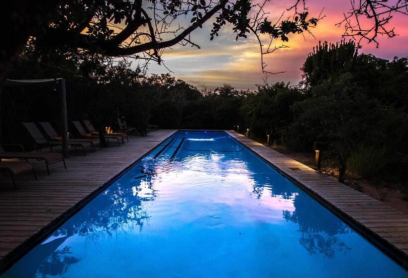 בית מלון כפרי Royal Thonga Safari Lodge