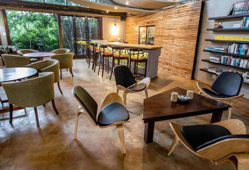 בית מלון כפרי Royal Thonga Safari Lodge