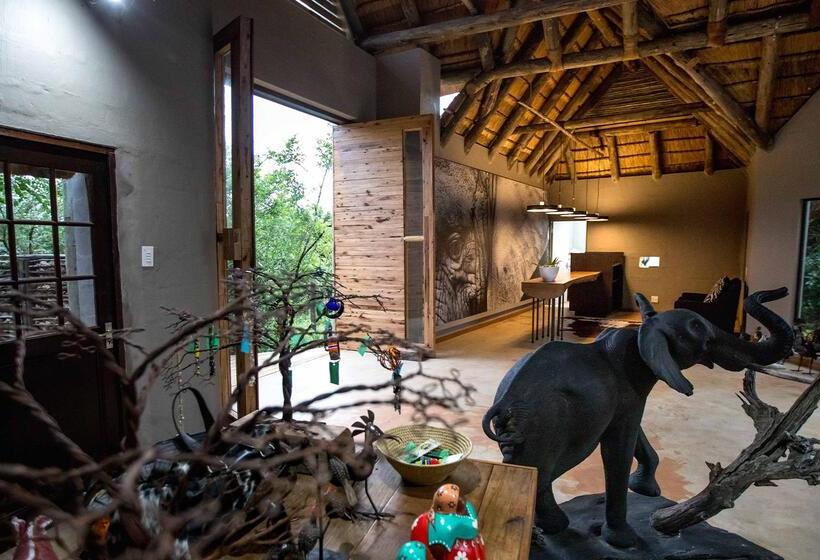 בית מלון כפרי Royal Thonga Safari Lodge