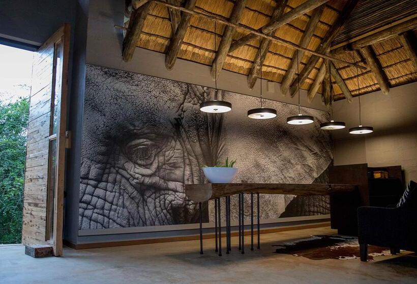 בית מלון כפרי Royal Thonga Safari Lodge