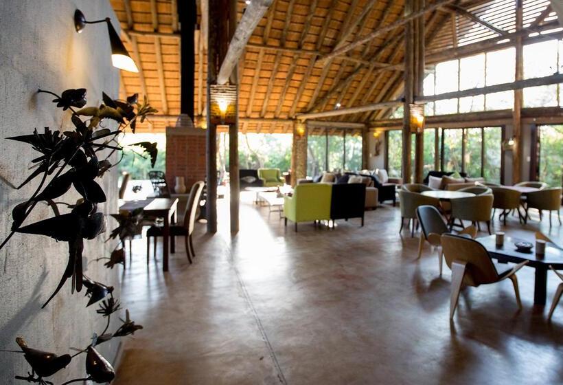 בית מלון כפרי Royal Thonga Safari Lodge