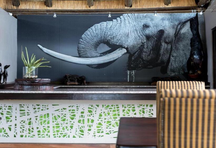 בית מלון כפרי Royal Thonga Safari Lodge