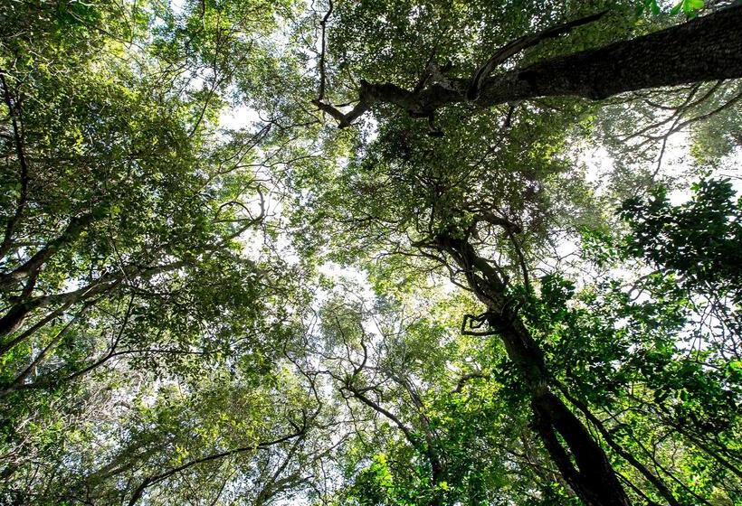 בית מלון כפרי Royal Thonga Safari Lodge