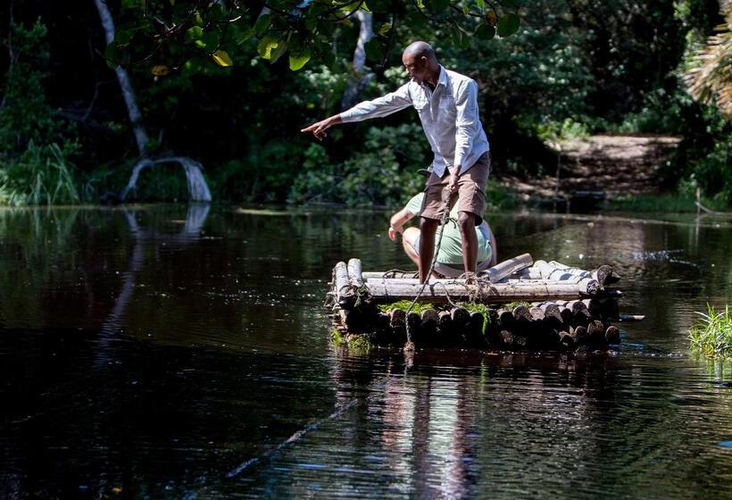 בית מלון כפרי Royal Thonga Safari Lodge