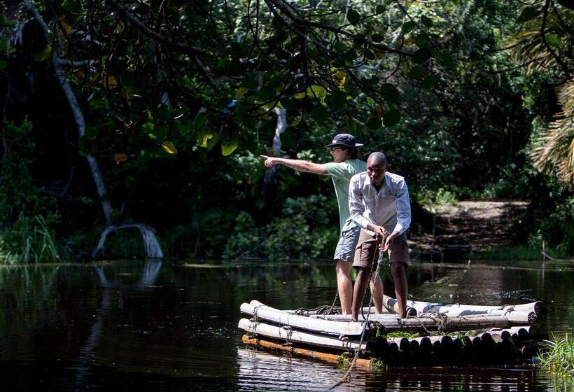 בית מלון כפרי Royal Thonga Safari Lodge