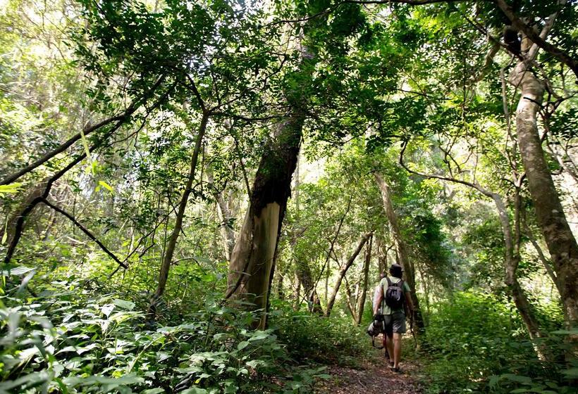 בית מלון כפרי Royal Thonga Safari Lodge