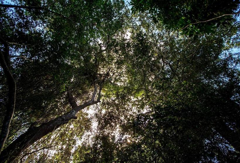 בית מלון כפרי Royal Thonga Safari Lodge