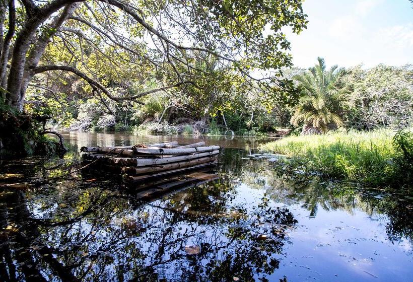 בית מלון כפרי Royal Thonga Safari Lodge