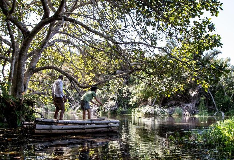 בית מלון כפרי Royal Thonga Safari Lodge