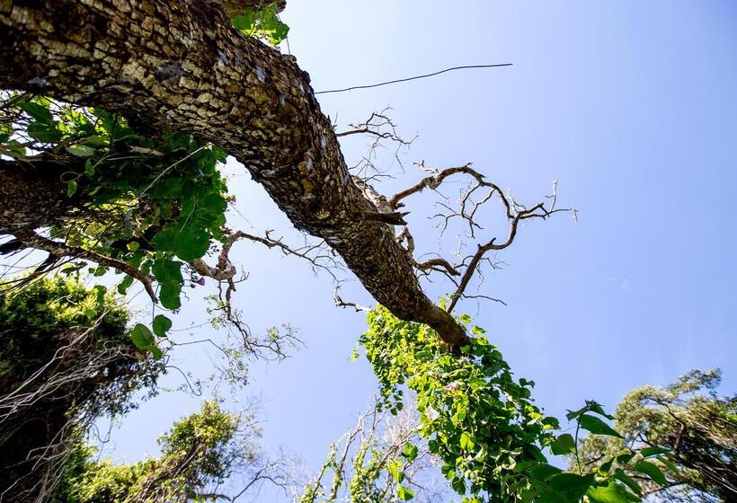 בית מלון כפרי Royal Thonga Safari Lodge