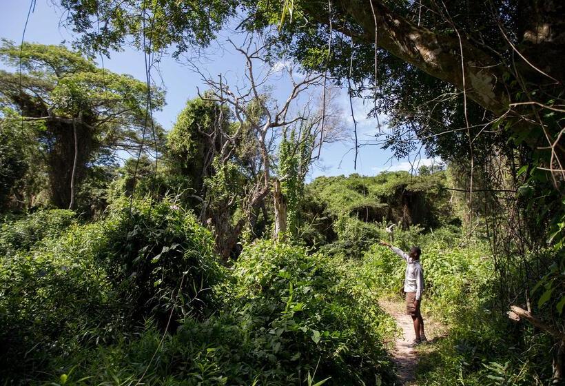 בית מלון כפרי Royal Thonga Safari Lodge