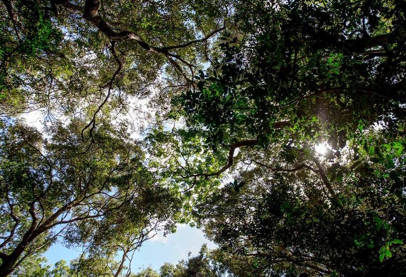 בית מלון כפרי Royal Thonga Safari Lodge